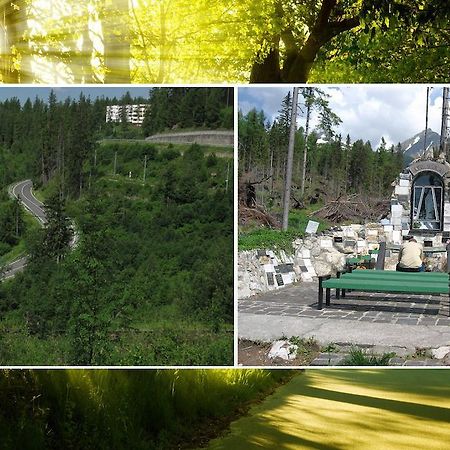 Apartman Solisko Vysoke Tatry Bagian luar foto